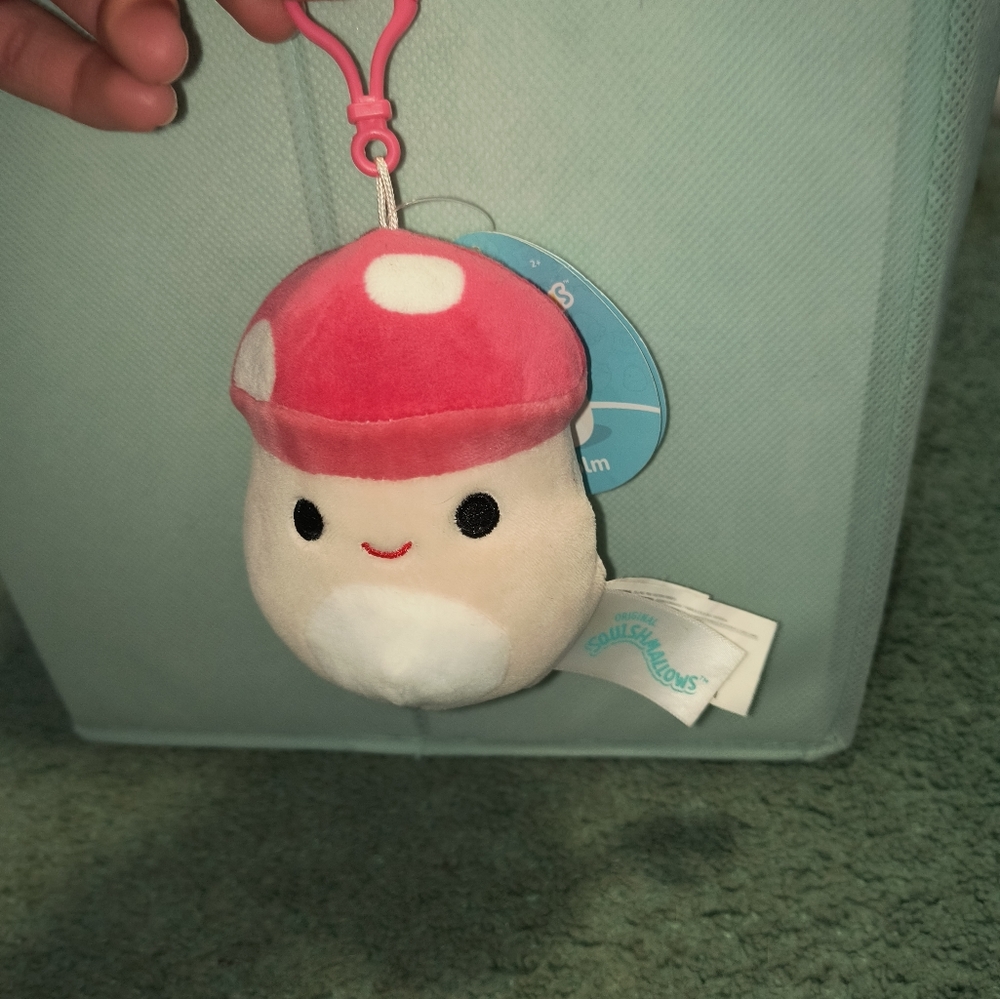malcom the mushroom squishmallow clip